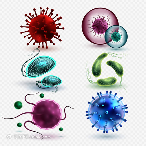 3D現(xiàn)實中的微生物與細(xì)菌 隔離、媒集與微觀世界的探索